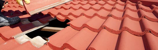 compare Borve roof repair quotes
